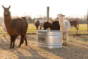 Galvanized Round End Tank
