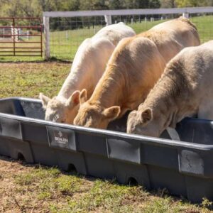 10′ All Poly Feed Bunk