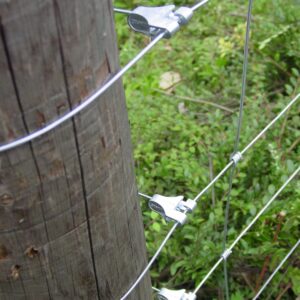 Gripple T-Clips - Bulk Jar