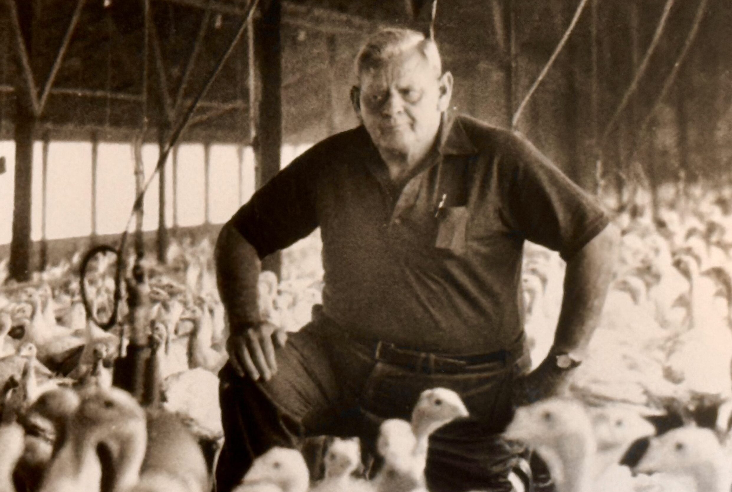 The Brothers' Beginning